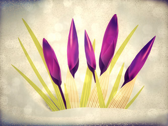 Similar image 2285354