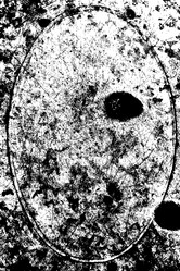 Similar image 2285737