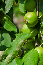 Similar image 2285809