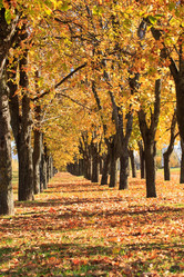 Similar image 2287086