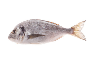 Similar image 2287104