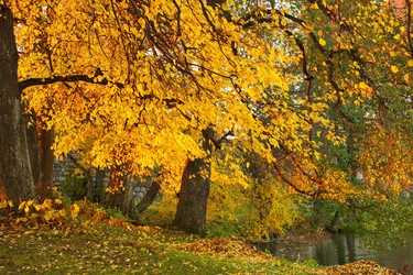 Similar image 2287107