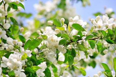 Similar image 2287163