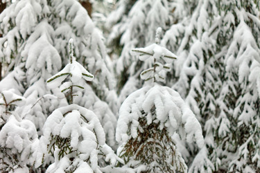 Similar image 2287173