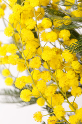 Similar image 2287176