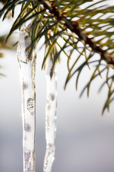 Similar image 2287179