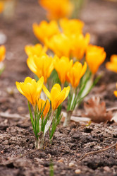 Similar image 2287186