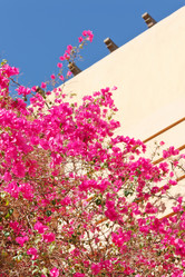 Similar image 2287196