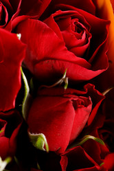 Similar image 2287200