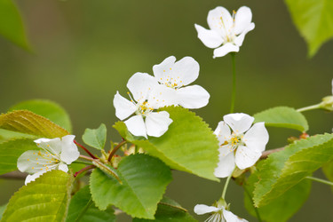 Similar image 2287212