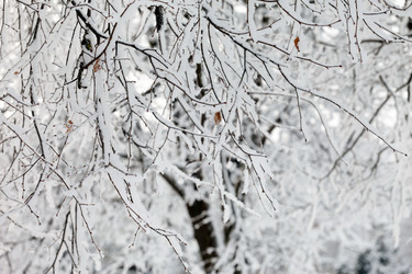 Similar image 2287222