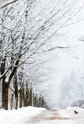 Similar image 2287226