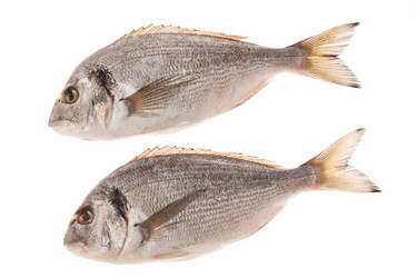 Similar image 2287228