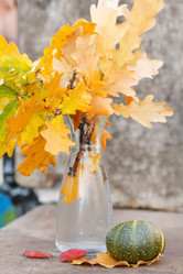 Similar image 2287247