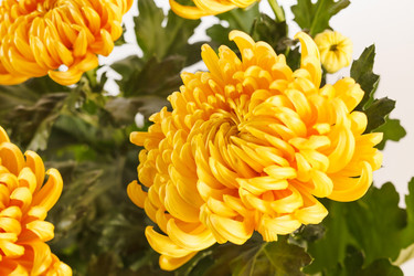 Similar image 2287290