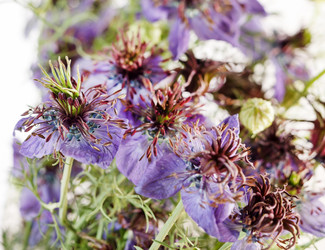 Similar image 2287292