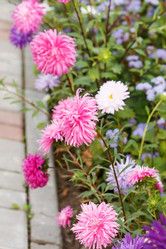 Similar image 2287603