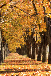 Similar image 2287872