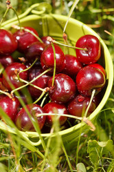 Similar image 2287884