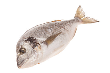 Similar image 2287950