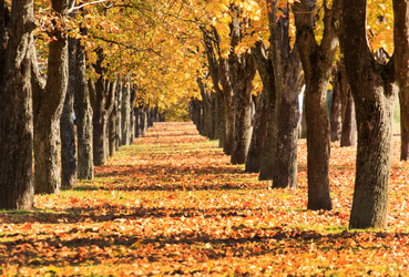 Similar image 2287967