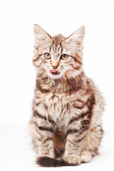 Similar image 2287995