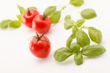 Similar image 2288015