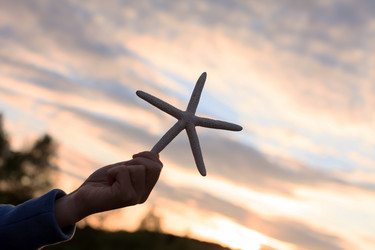 Similar image 2288149