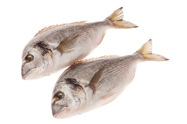 Similar image 2288160