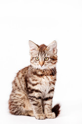 Similar image 2288207