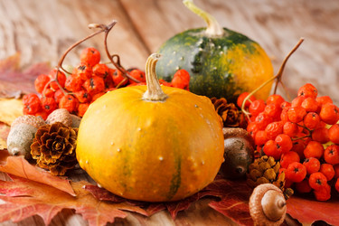 Similar image 2288228