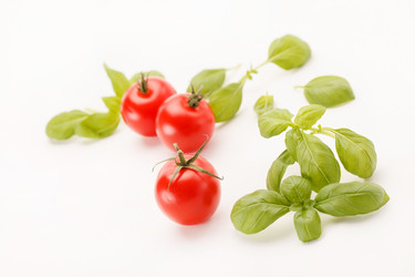 Similar image 2288245