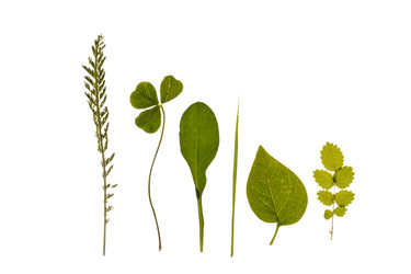 Similar image 2288280