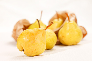 Similar image 2288318