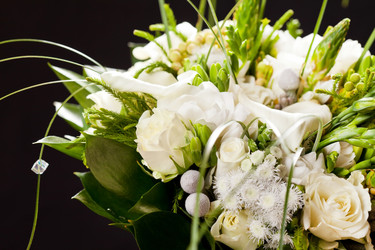 Similar image 2288526