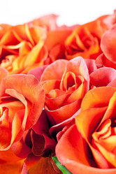 Similar image 2288527