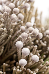 Similar image 2288531