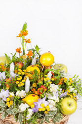 Similar image 2288535