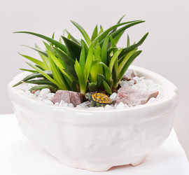 Similar image 2288540