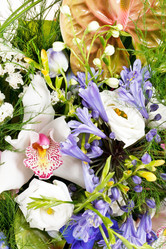 Similar image 2288541