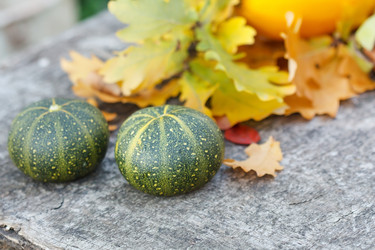 Similar image 2288543