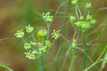 Similar image 2288544