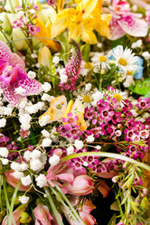 Similar image 2288556