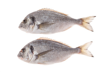 Similar image 2288559