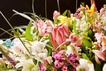 Similar image 2288562