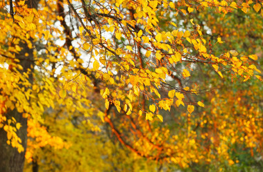 Similar image 2288564