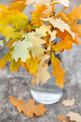 Similar image 2288571