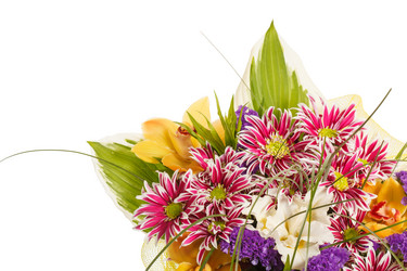 Similar image 2288573