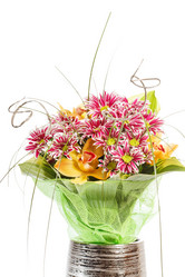 Similar image 2288575