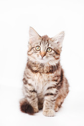 Similar image 2288615